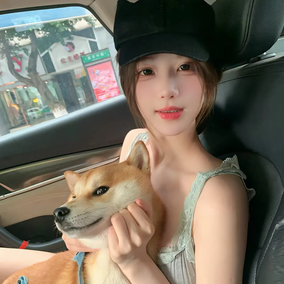 哈莉·奎茵第四季